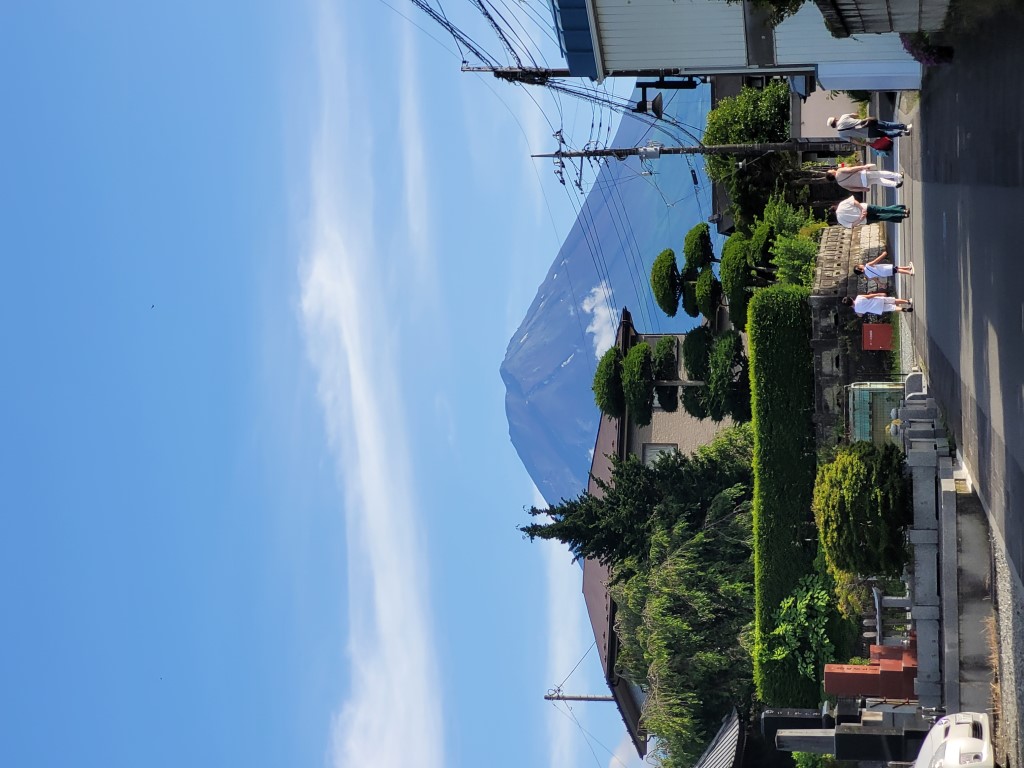 picture of Fuji Looming