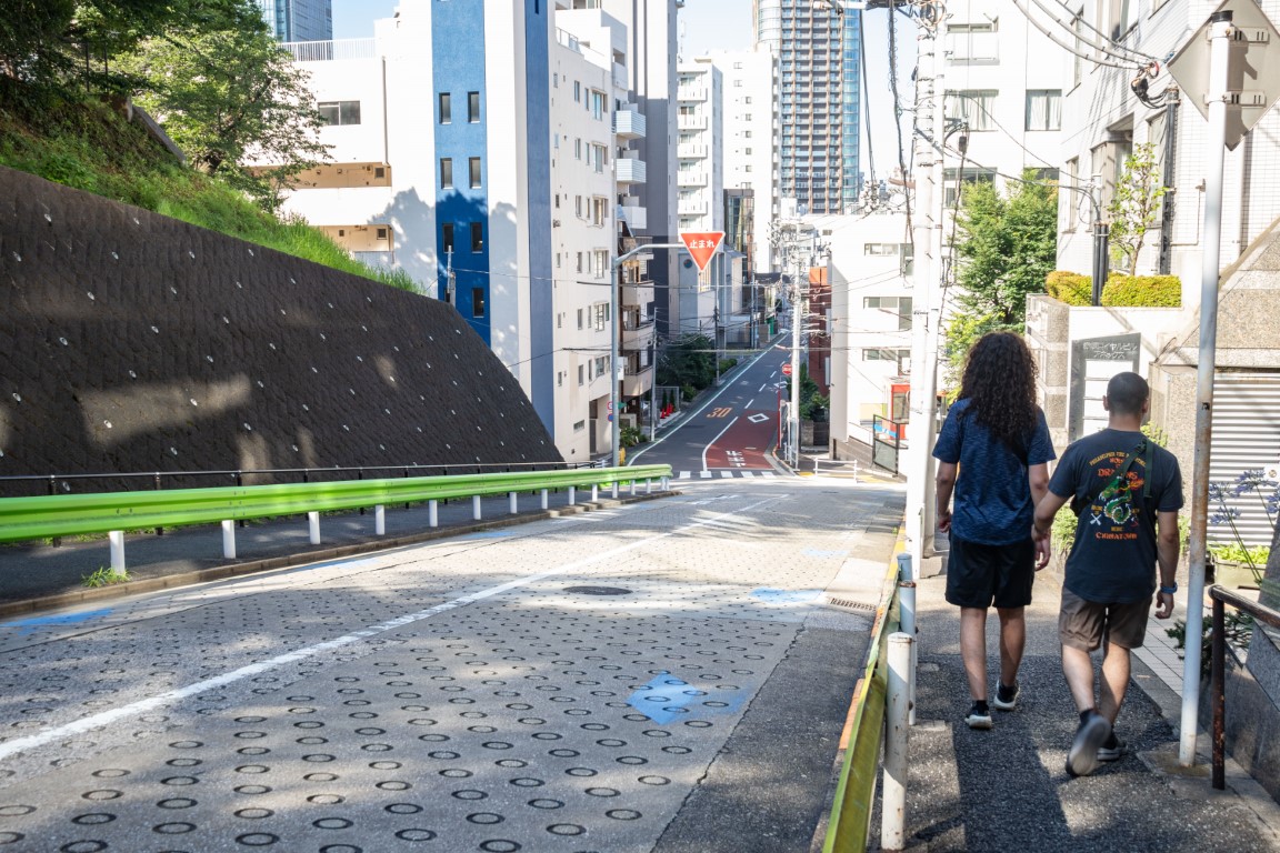 picture of Stroll through Tokyo